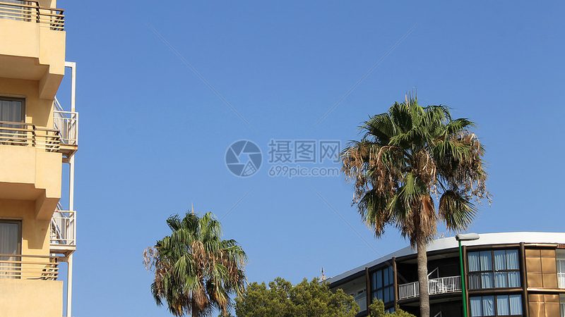 行业背景：酒店预订代理加盟，市场现状与趋势